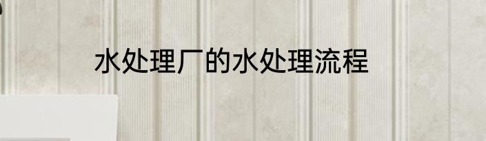 水处理厂的水处理流程