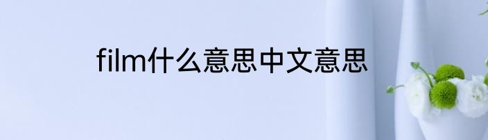 film什么意思中文意思