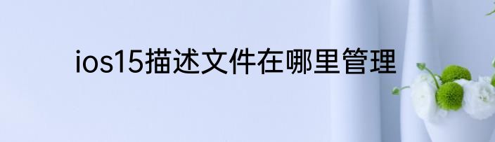 ios15描述文件在哪里管理