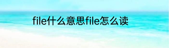 file什么意思file怎么读