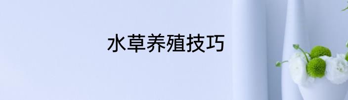 水草养殖技巧