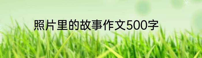 照片里的故事作文500字