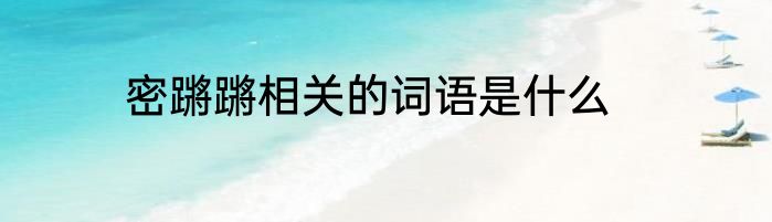 密蹡蹡相关的词语是什么