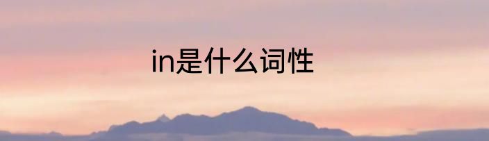 in是什么词性