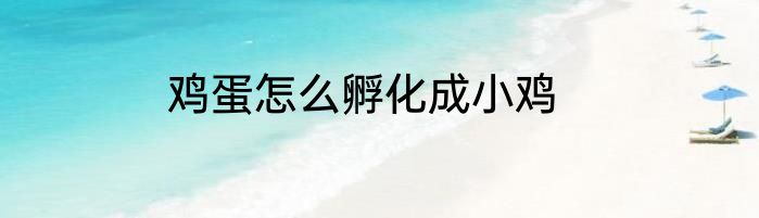 鸡蛋怎么孵化成小鸡