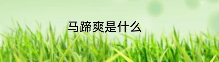 马蹄爽是什么