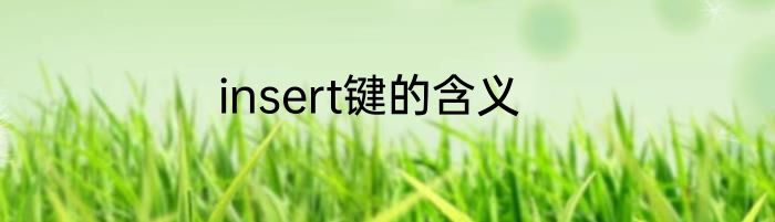 insert键的含义