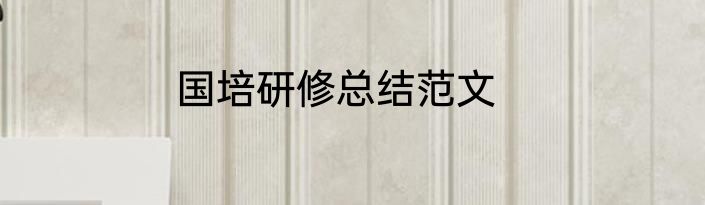 国培研修总结范文