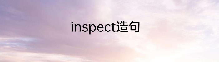 inspect造句