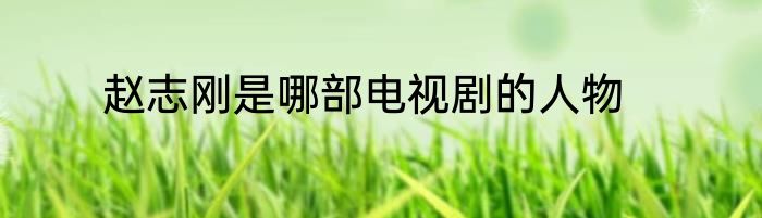 赵志刚是哪部电视剧的人物