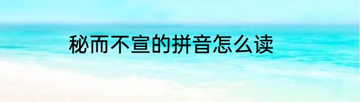 秘而不宣的拼音怎么读
