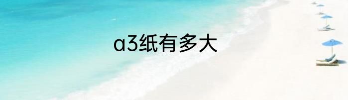 a3纸有多大