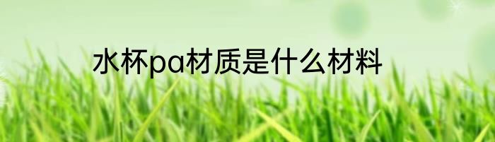水杯pa材质是什么材料