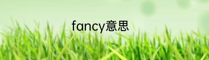 fancy意思