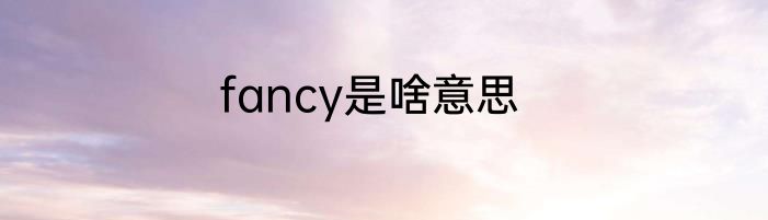 fancy是啥意思