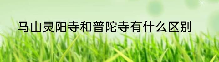 马山灵阳寺和普陀寺有什么区别