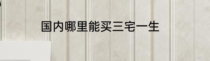 国内哪里能买三宅一生