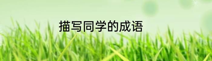 描写同学的成语