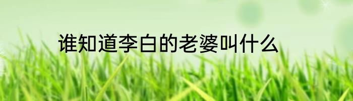 谁知道李白的老婆叫什么