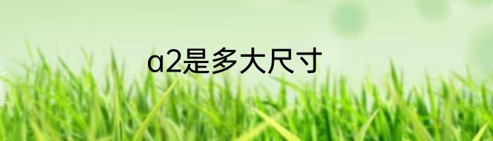 a2是多大尺寸