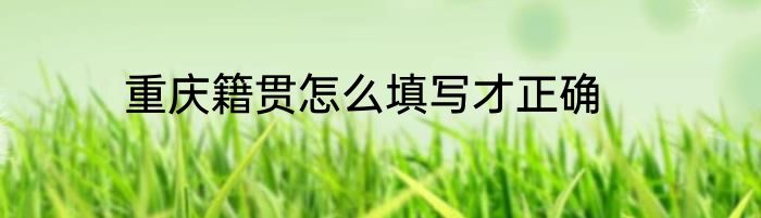 重庆籍贯怎么填写才正确