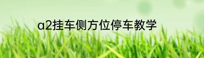 a2挂车侧方位停车教学