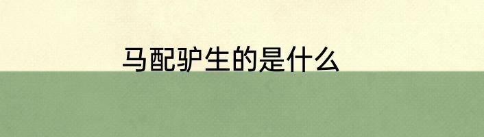 马配驴生的是什么