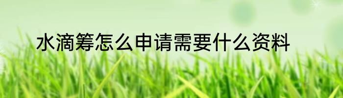 水滴筹怎么申请需要什么资料