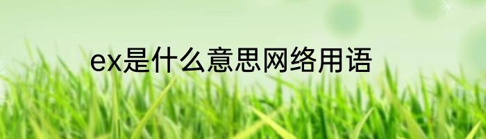 ex是什么意思网络用语