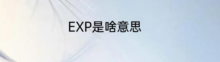 EXP是啥意思