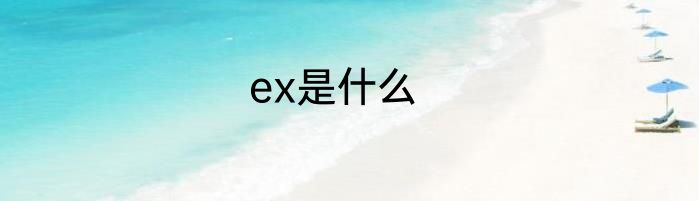 ex是什么