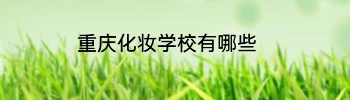 重庆化妆学校有哪些