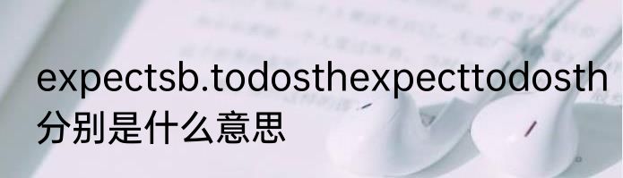 expectsb.todosthexpecttodosth分别是什么意思
