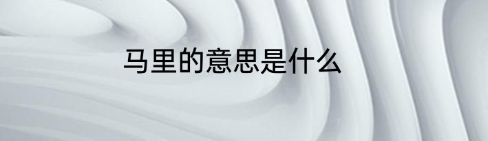 马里的意思是什么