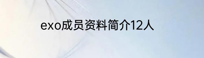 exo成员资料简介12人