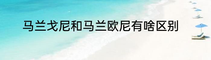 马兰戈尼和马兰欧尼有啥区别