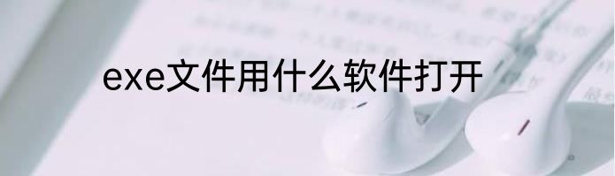 exe文件用什么软件打开