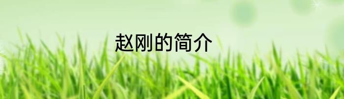 赵刚的简介