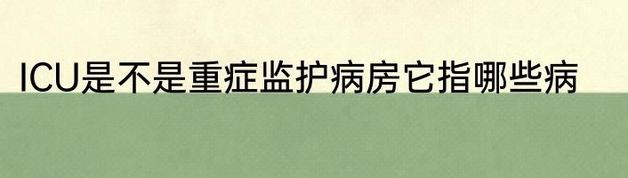 ICU是不是重症监护病房它指哪些病