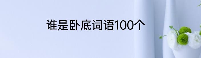 谁是卧底词语100个