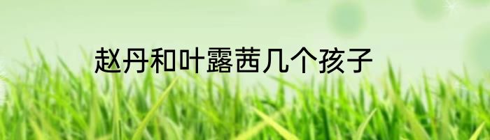 谁是谁的谁的谁是哪首歌的歌词谁是谁的谁完整歌词介绍