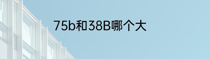 75b和38B哪个大
