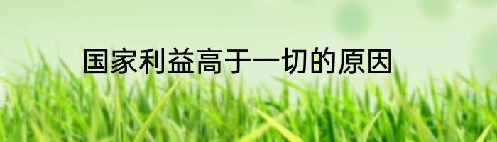 国家利益高于一切的原因