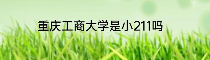重庆工商大学是小211吗
