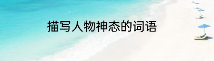 描写人物神态的词语