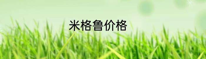 米格鲁价格