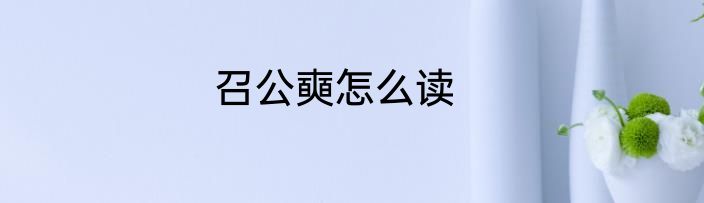召公奭怎么读