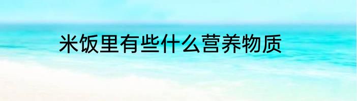 米饭里有些什么营养物质