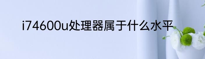 i74600u处理器属于什么水平