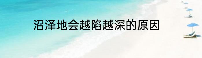 沼泽地会越陷越深的原因